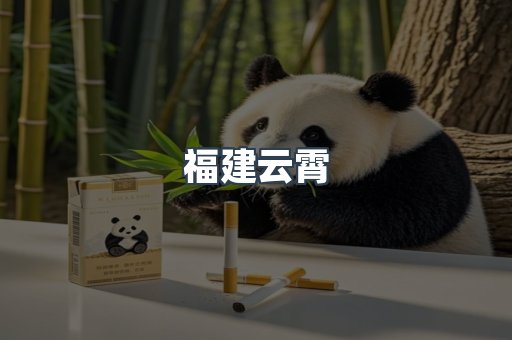 福建云霄